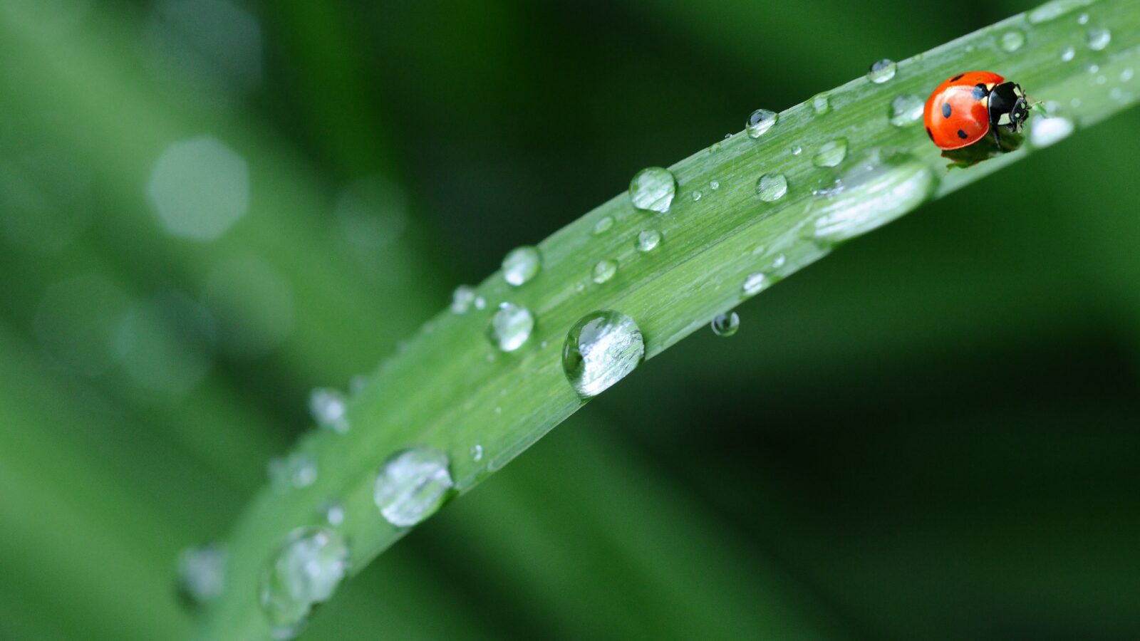 11月6日(水) 休診のお知らせ